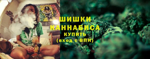 экстази Каменка